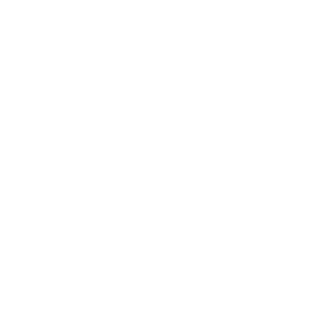 ��ȫ����